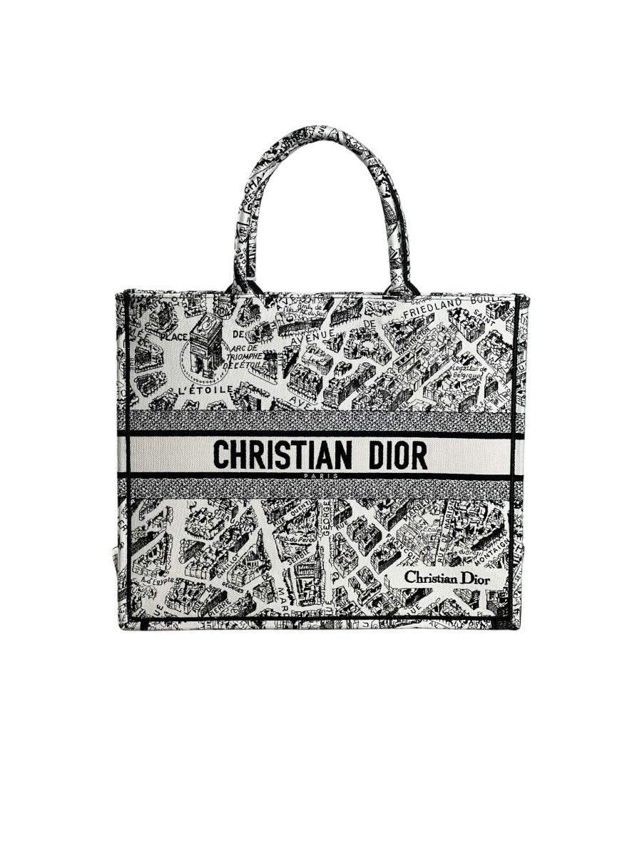 Dior Large Book Tote Plan de Paris Embroidery | Myzah